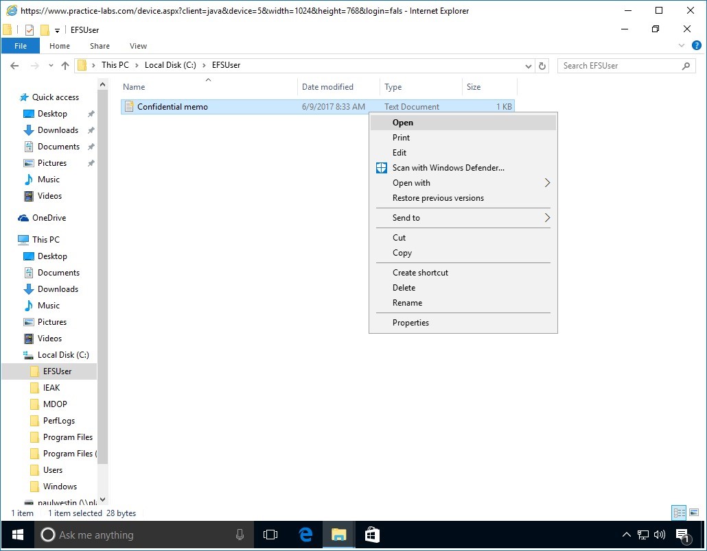 Figure 5.29 Screenshot of PLABWIN10