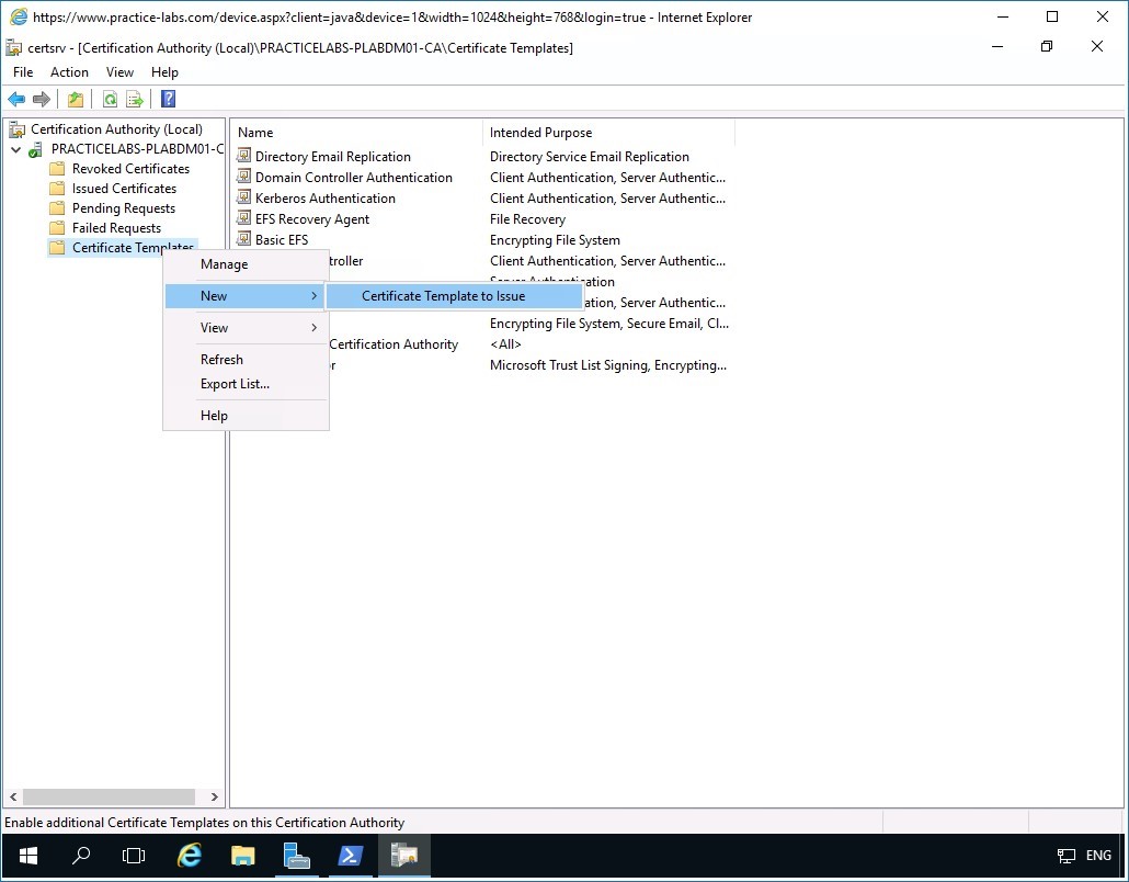 Figure 2.10 Screenshot of PLABDM01