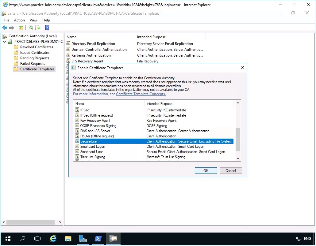 Figure 2.11 Screenshot of PLABDM01