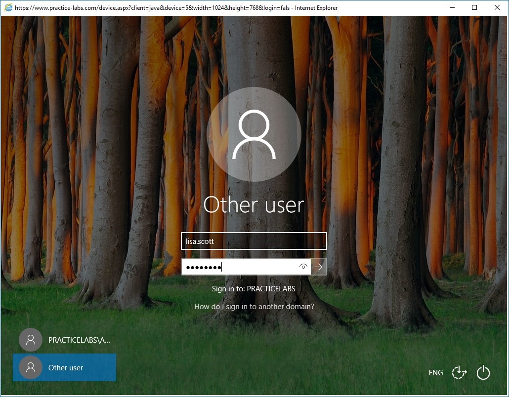 Figure 2.20 Screenshot of PLABWIN10