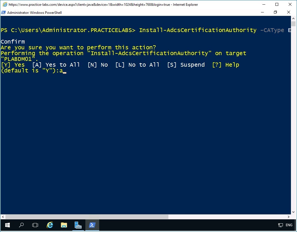 Figure 1.3 Screenshot of PLABDM01