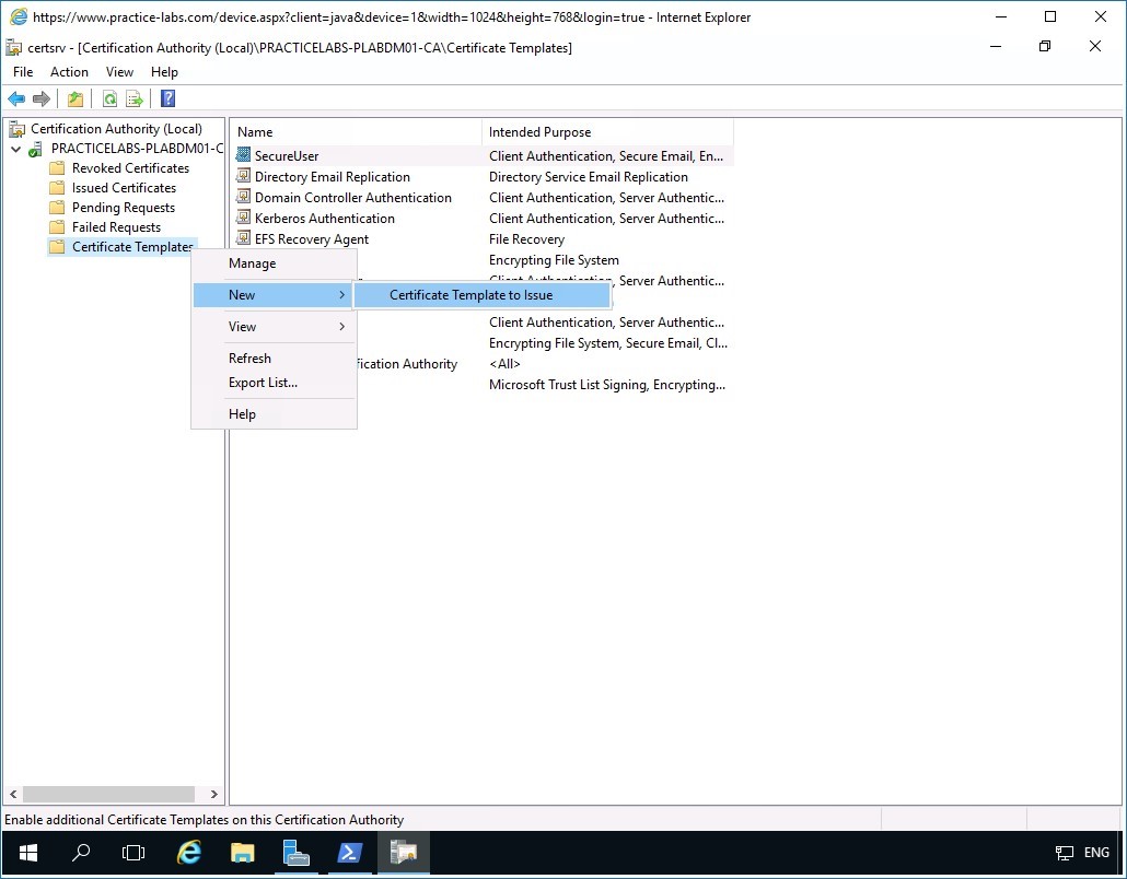 Figure 3.1 Screenshot of PLABDM01