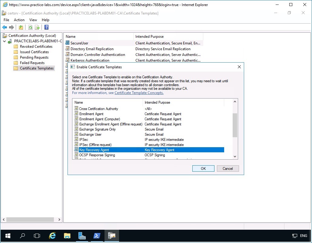 Figure 3.2 Screenshot of PLABDM01