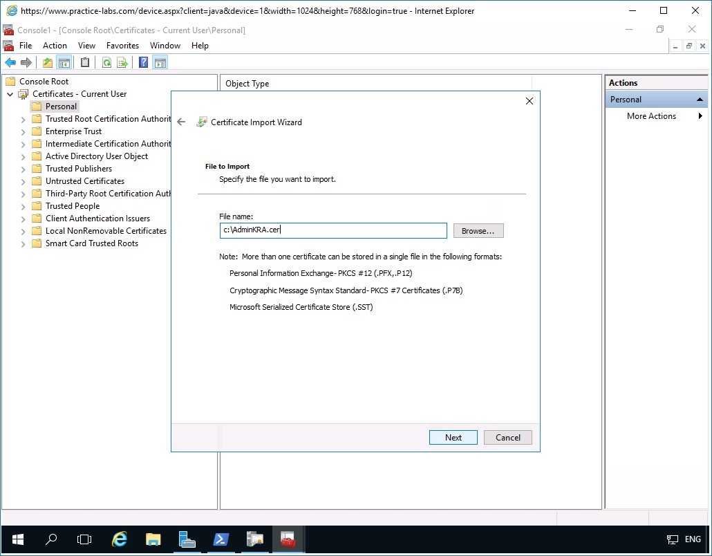 Figure 3.17 Screenshot of PLABDM01