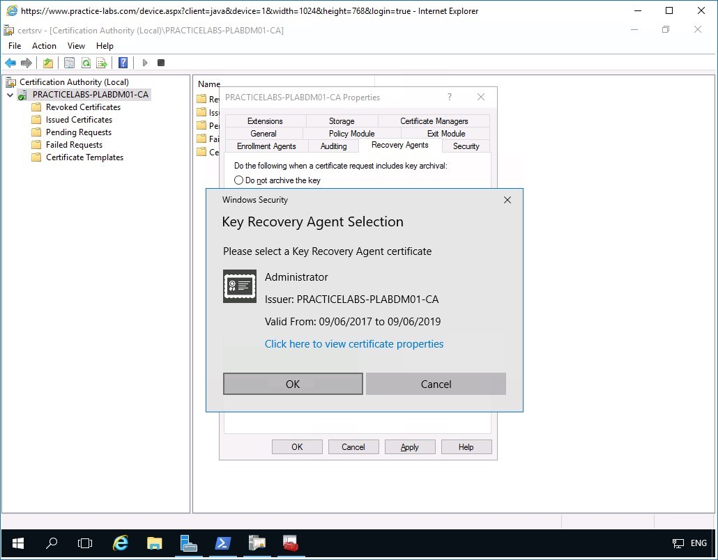 Figure 3.22 Screenshot of PLABDM01