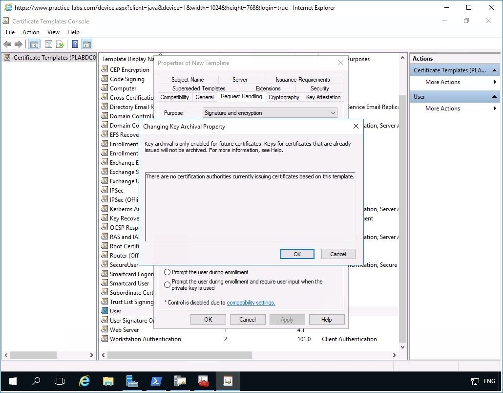 Figure 3.29 Screenshot of PLABDM01
