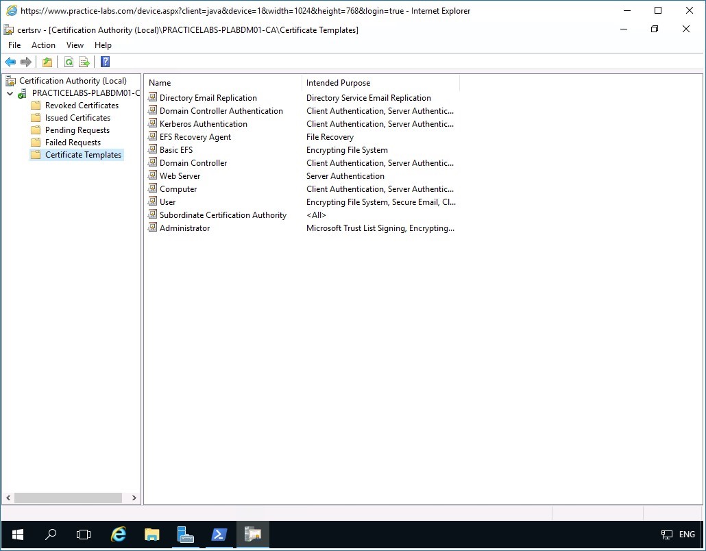 Figure 1.5 Screenshot of PLABDM01