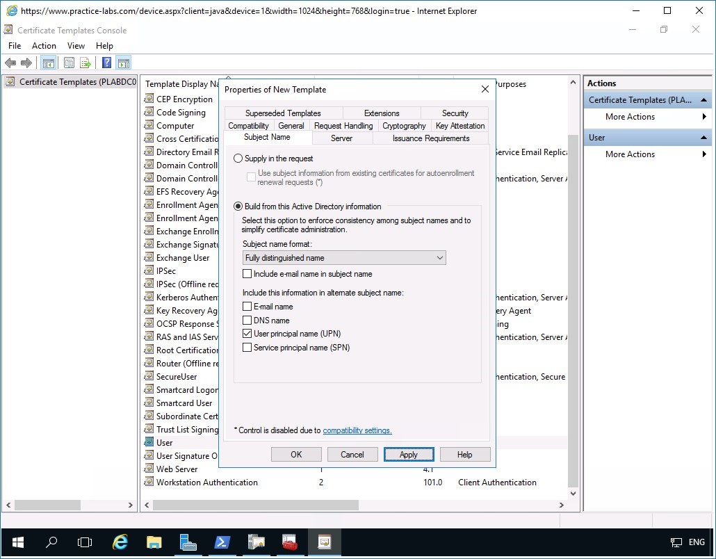 Figure 3.31 Screenshot of PLABDM01
