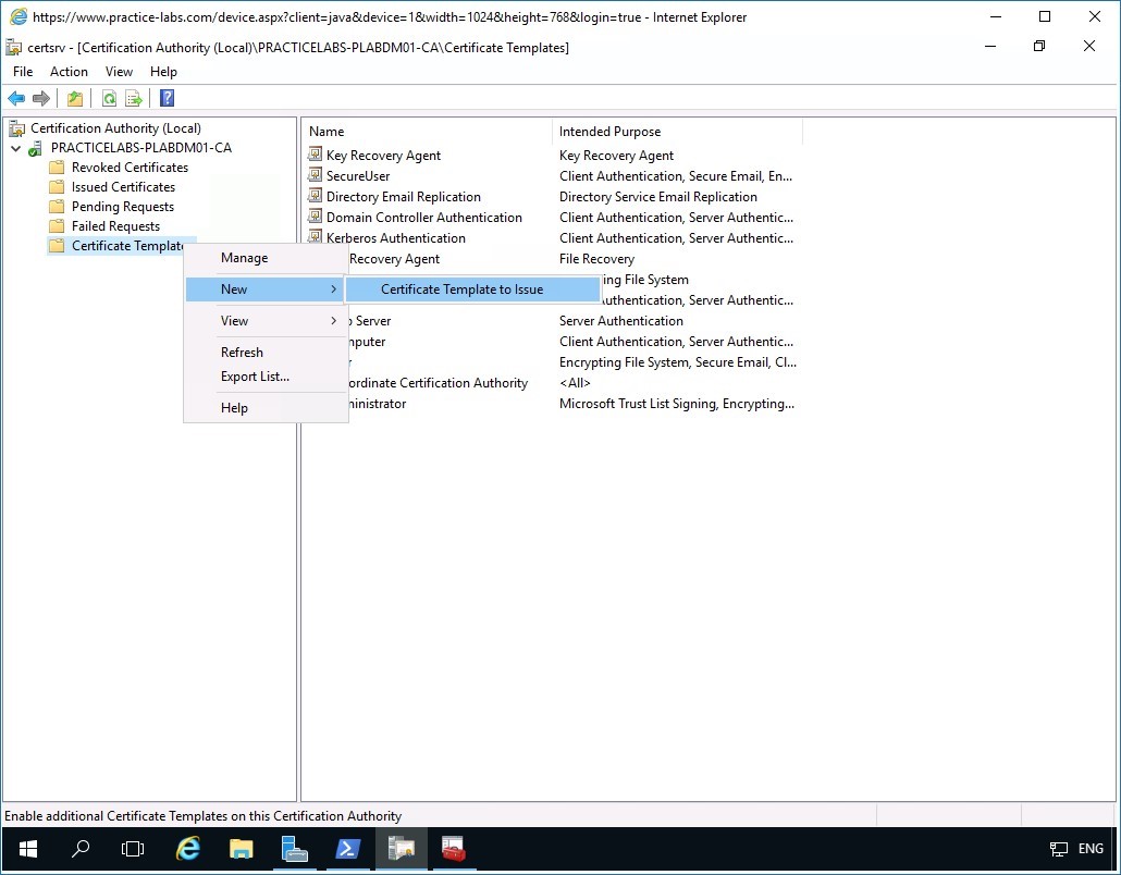 Figure 3.33 Screenshot of PLABDM01
