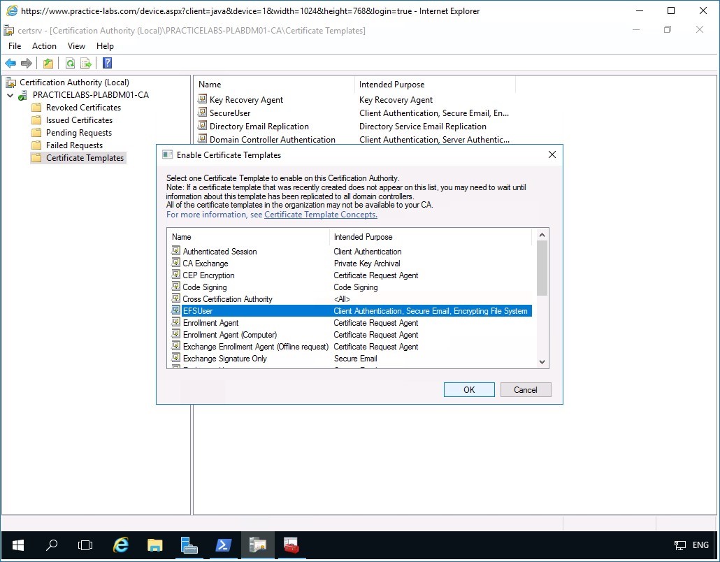 Figure 3.34 Screenshot of PLABDM01
