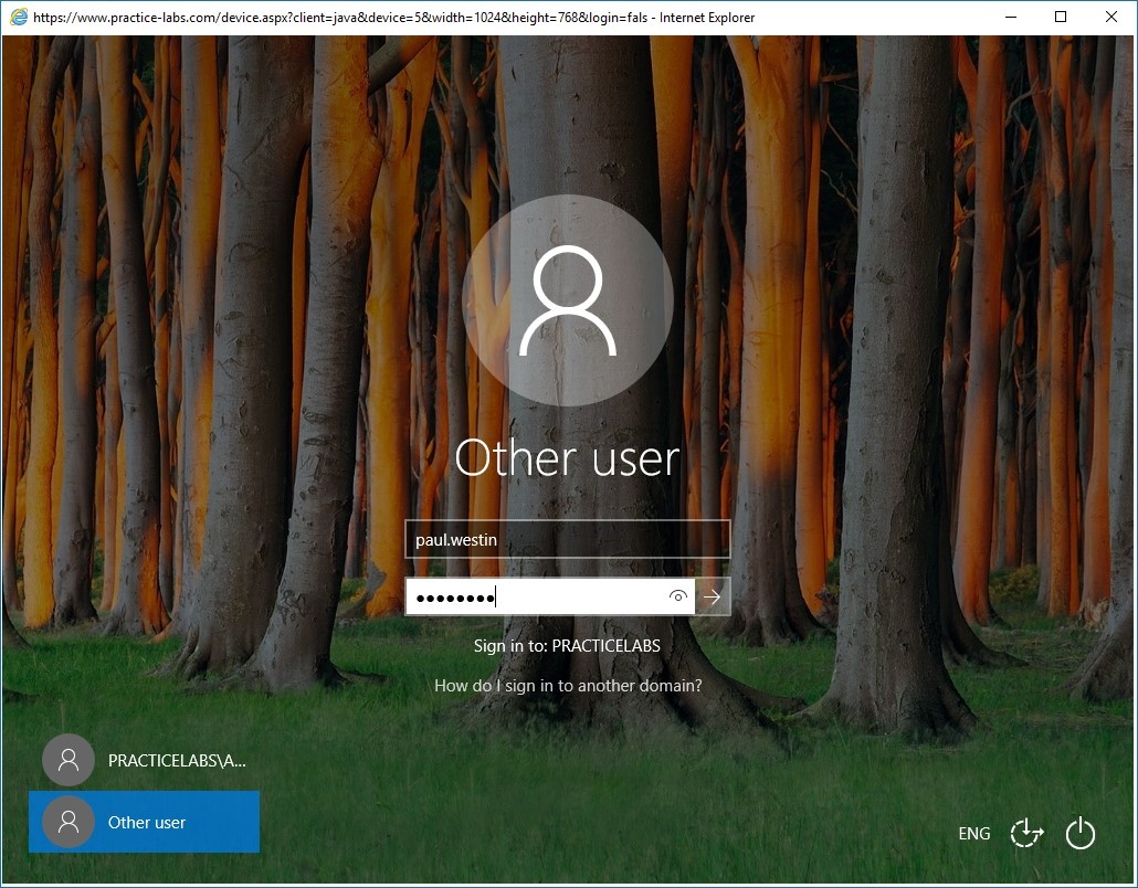 Figure 4.1 Screenshot of PLABWIN10