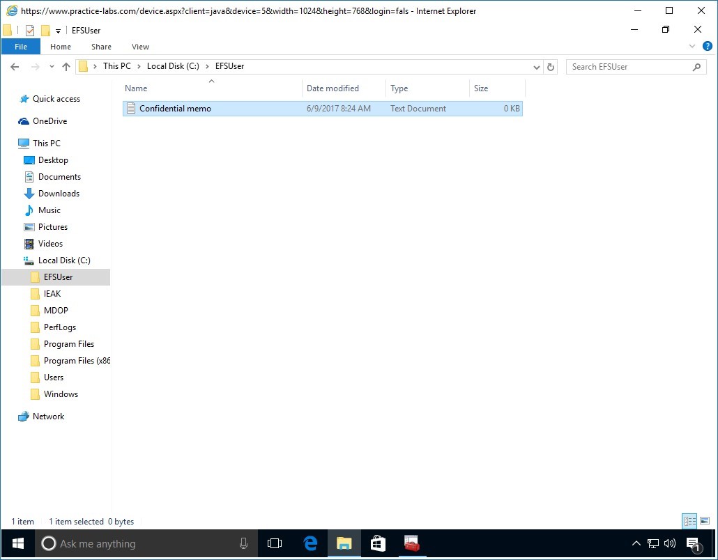 Figure 4.8 Screenshot of PLABWIN10