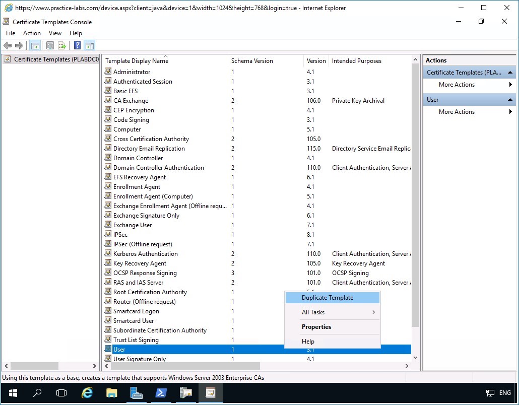 Figure 2.2 Screenshot of PLABDM01