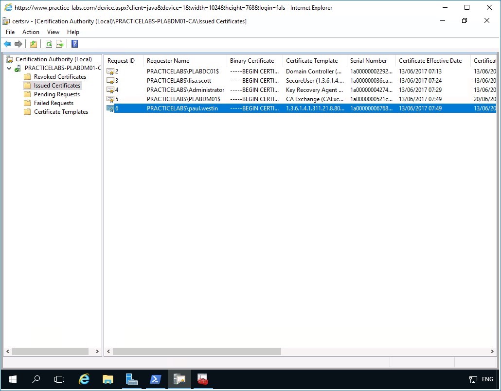 Figure 5.13 Screenshot of PLABDM01