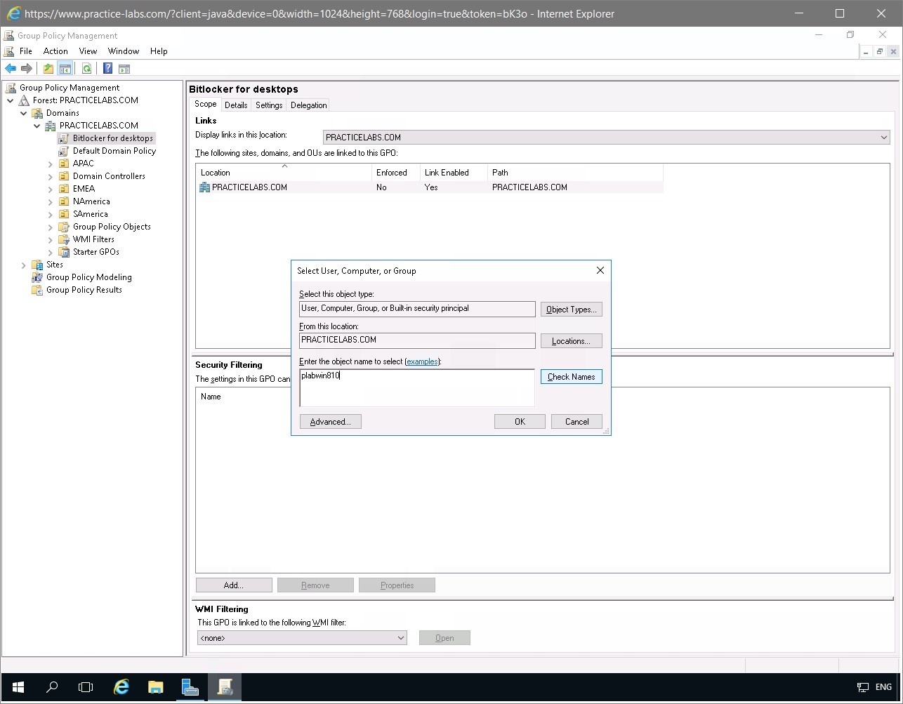 Figure 1.11 Screenshot of the PLABDC01 desktop