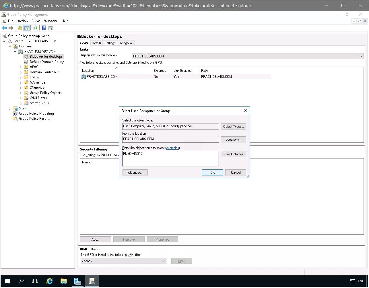 Figure 1.12 Screenshot of the PLABDC01 desktop