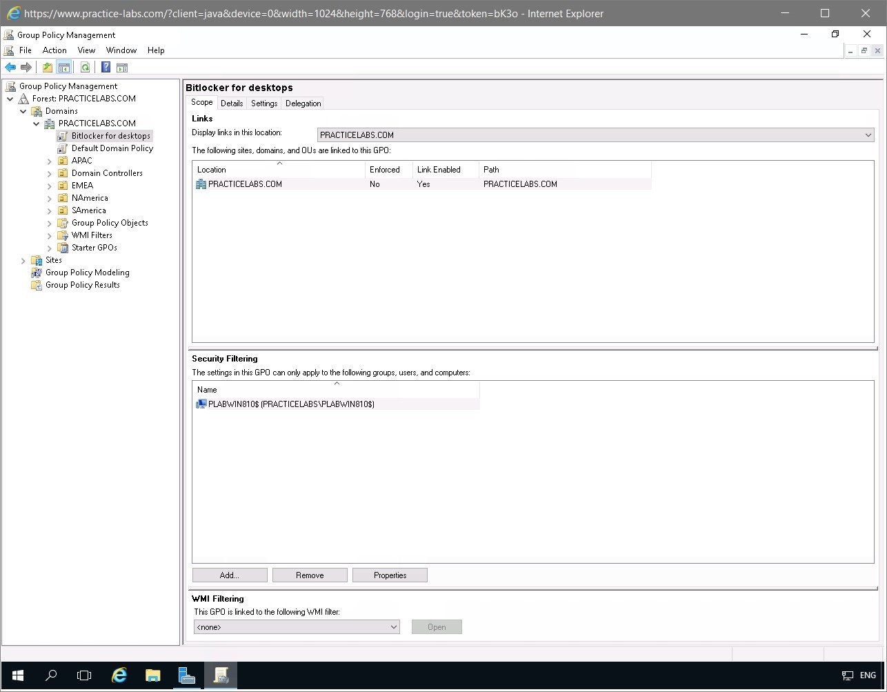 Figure 1.13 Screenshot of the PLABDC01 desktop