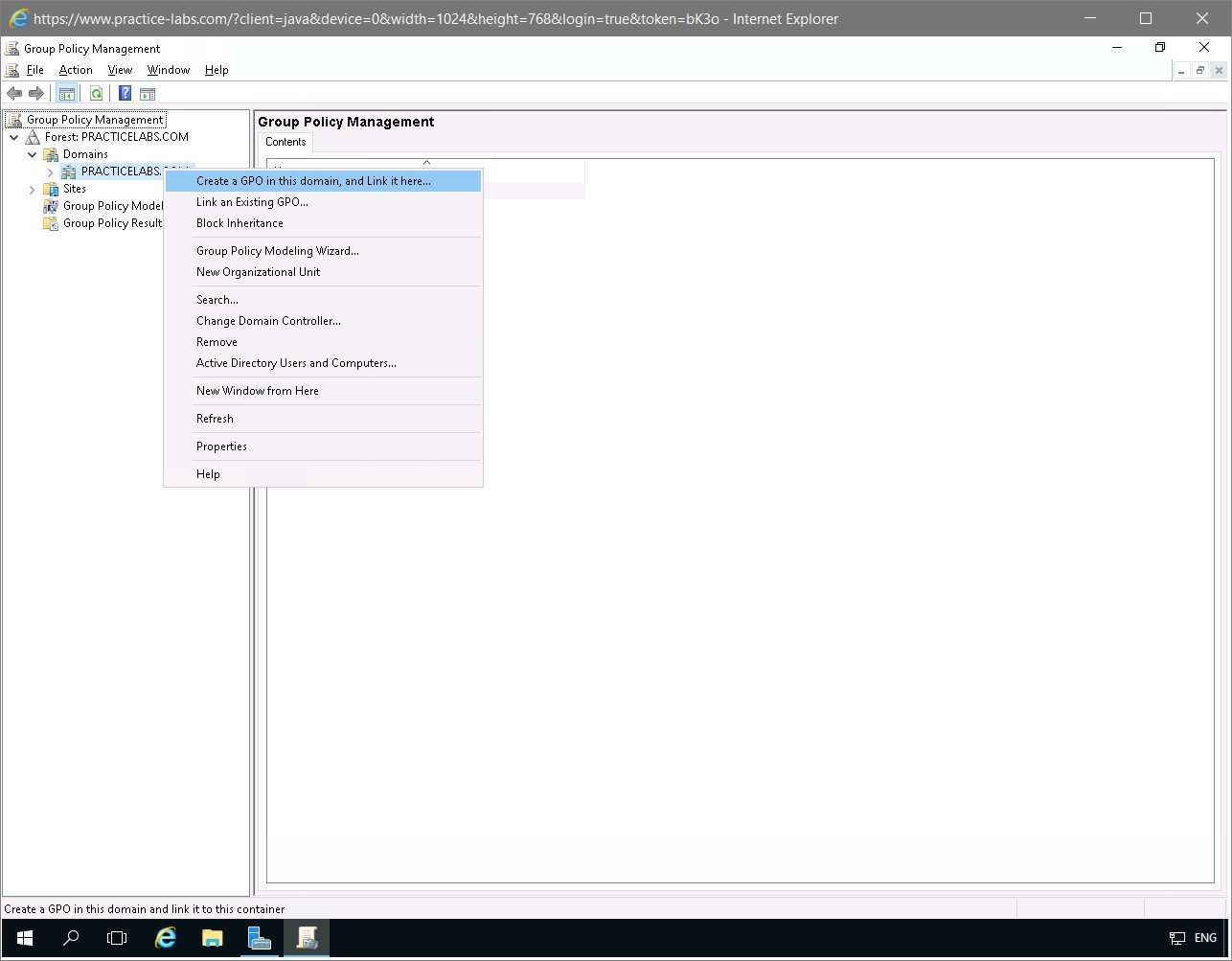 Figure 1.2 Screenshot of the PLABDC01 desktop