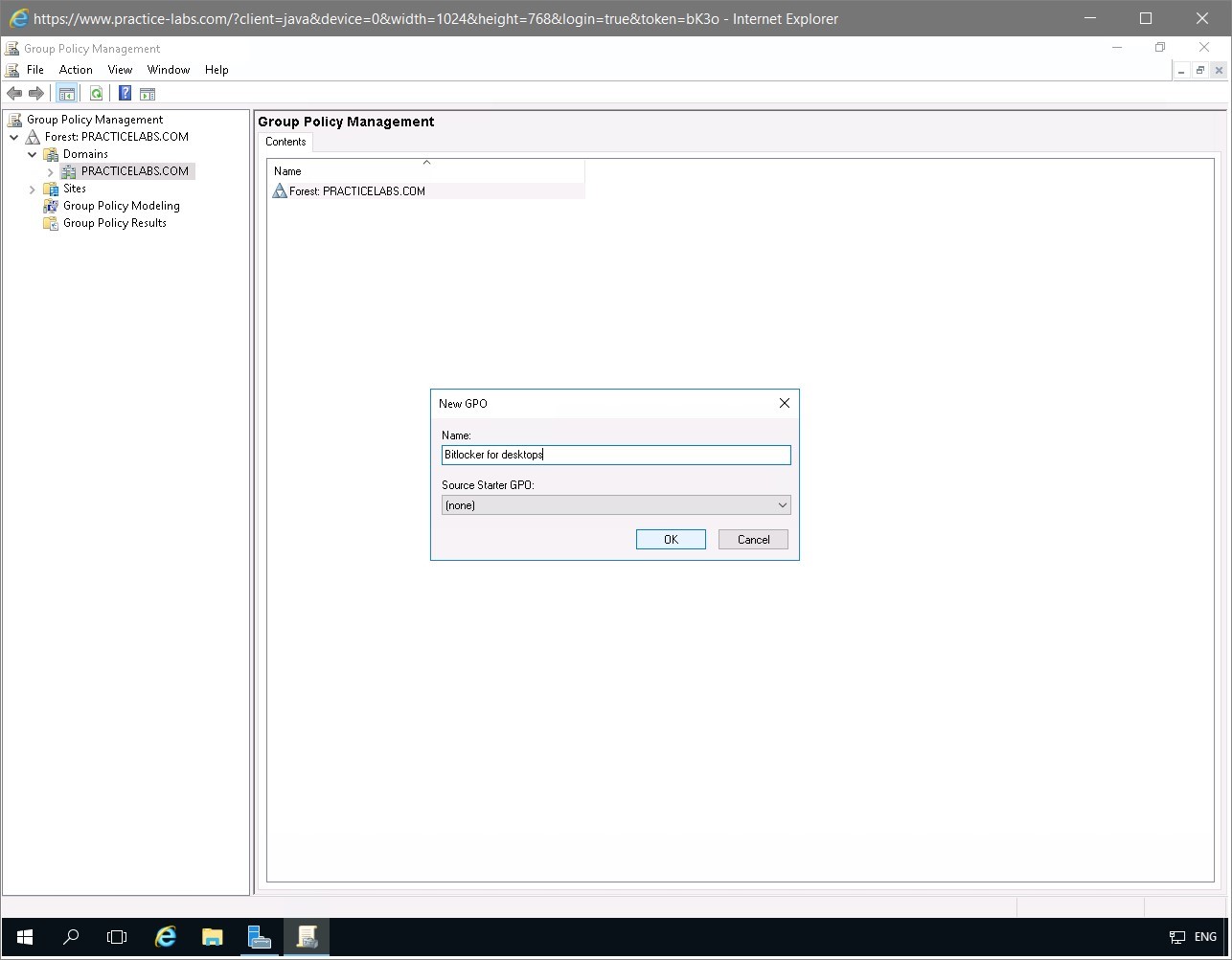 Figure 1.3 Screenshot of the PLABDC01 desktop