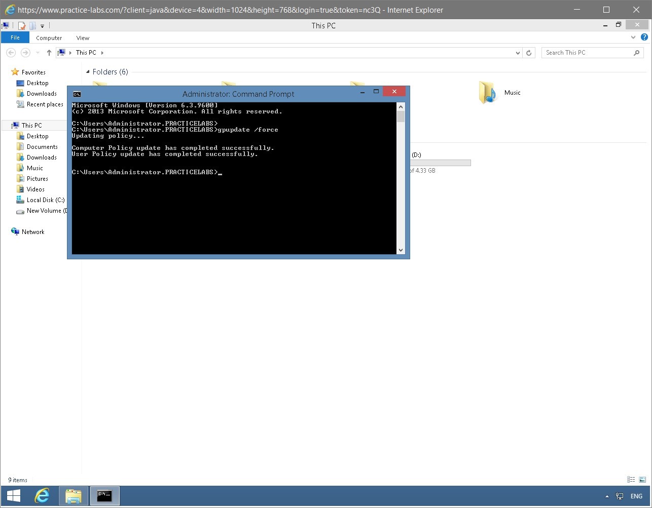 Figure 1.30 Screenshot of the PLABWIN810 desktop