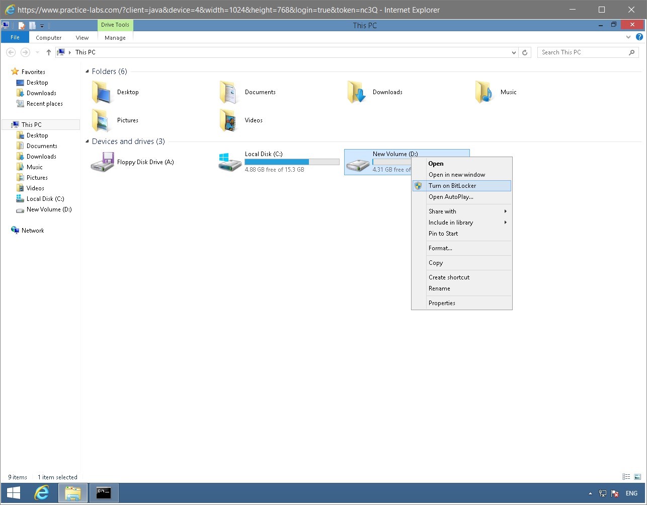 Figure 1.31 Screenshot of the PLABWIN810 desktop