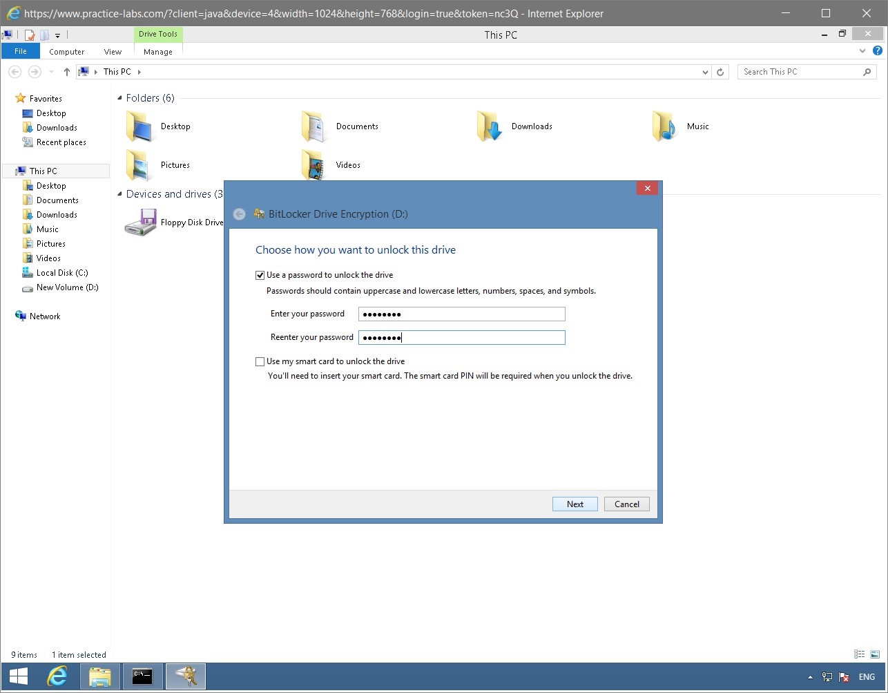 Figure 1.32 Screenshot of the PLABWIN810 desktop