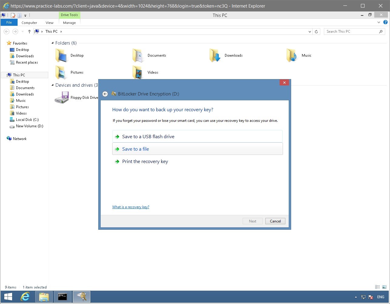 Figure 1.33 Screenshot of the PLABWIN810 desktop