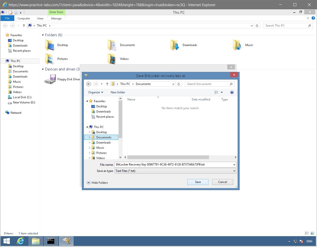 Figure 1.34 Screenshot of the PLABWIN810 desktop