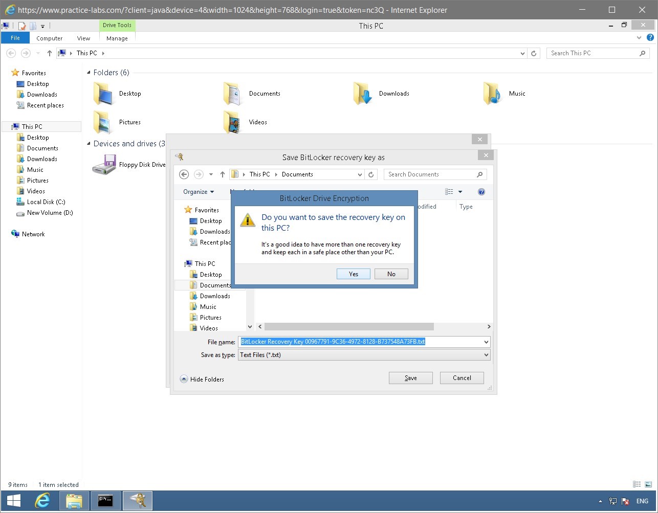 Figure 1.35 Screenshot of the PLABWIN810 desktop