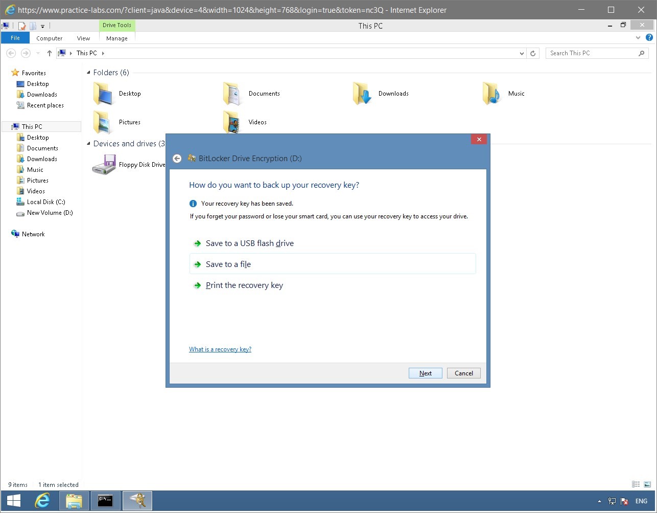 Figure 1.36 Screenshot of the PLABWIN810 desktop