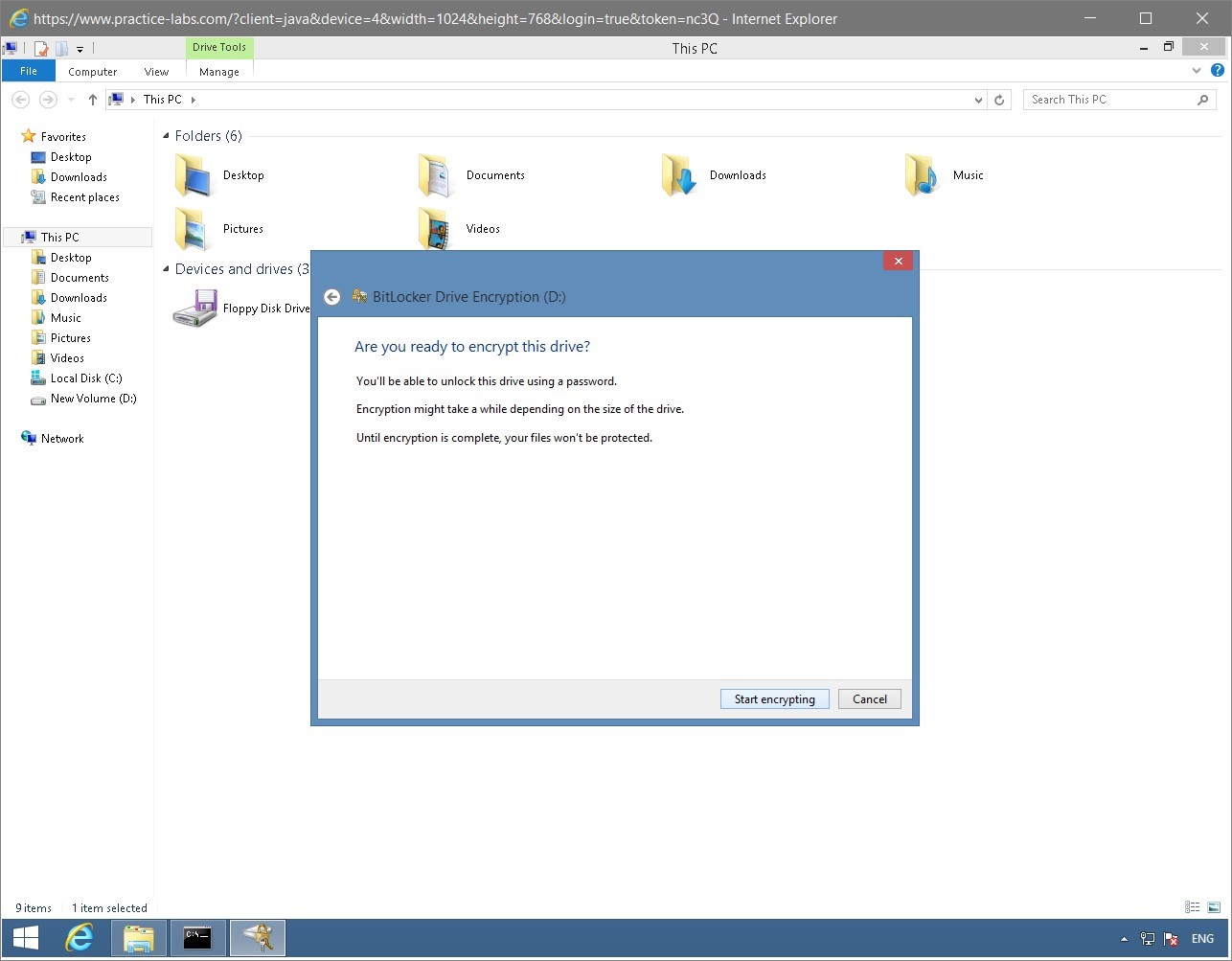 Figure 1.37 Screenshot of the PLABWIN810 desktop
