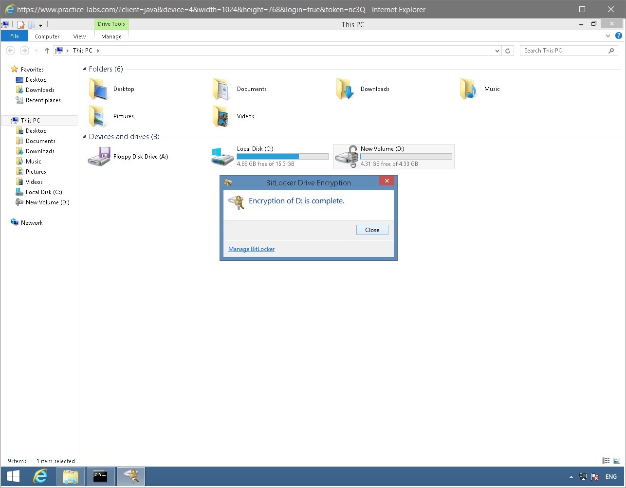 Figure 1.38 Screenshot of the PLABWIN810 desktop