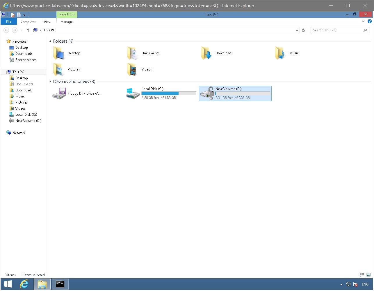 Figure 1.39 Screenshot of the PLABWIN810 desktop