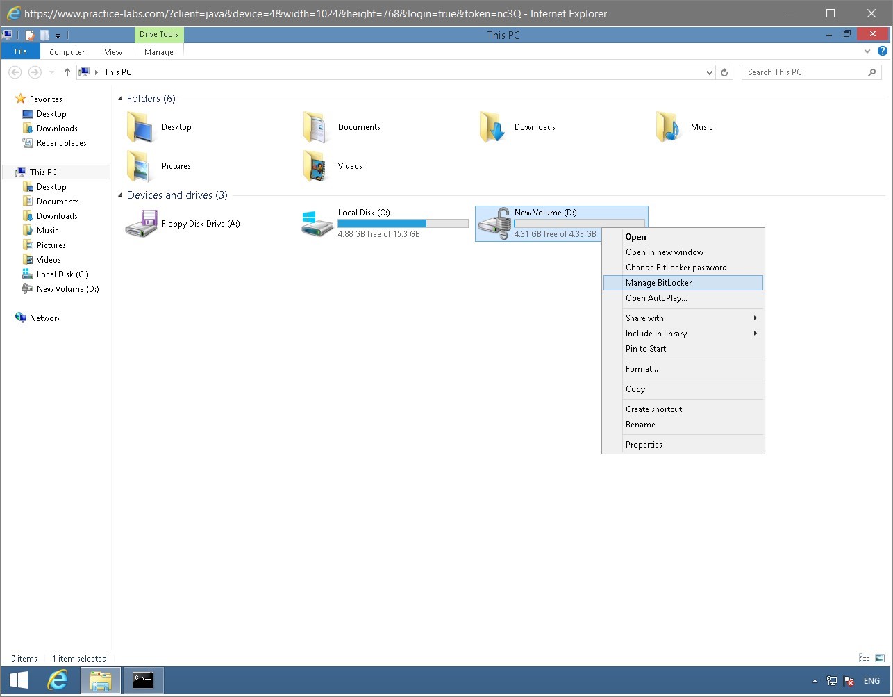 Figure 1.40 Screenshot of the PLABWIN810 desktop
