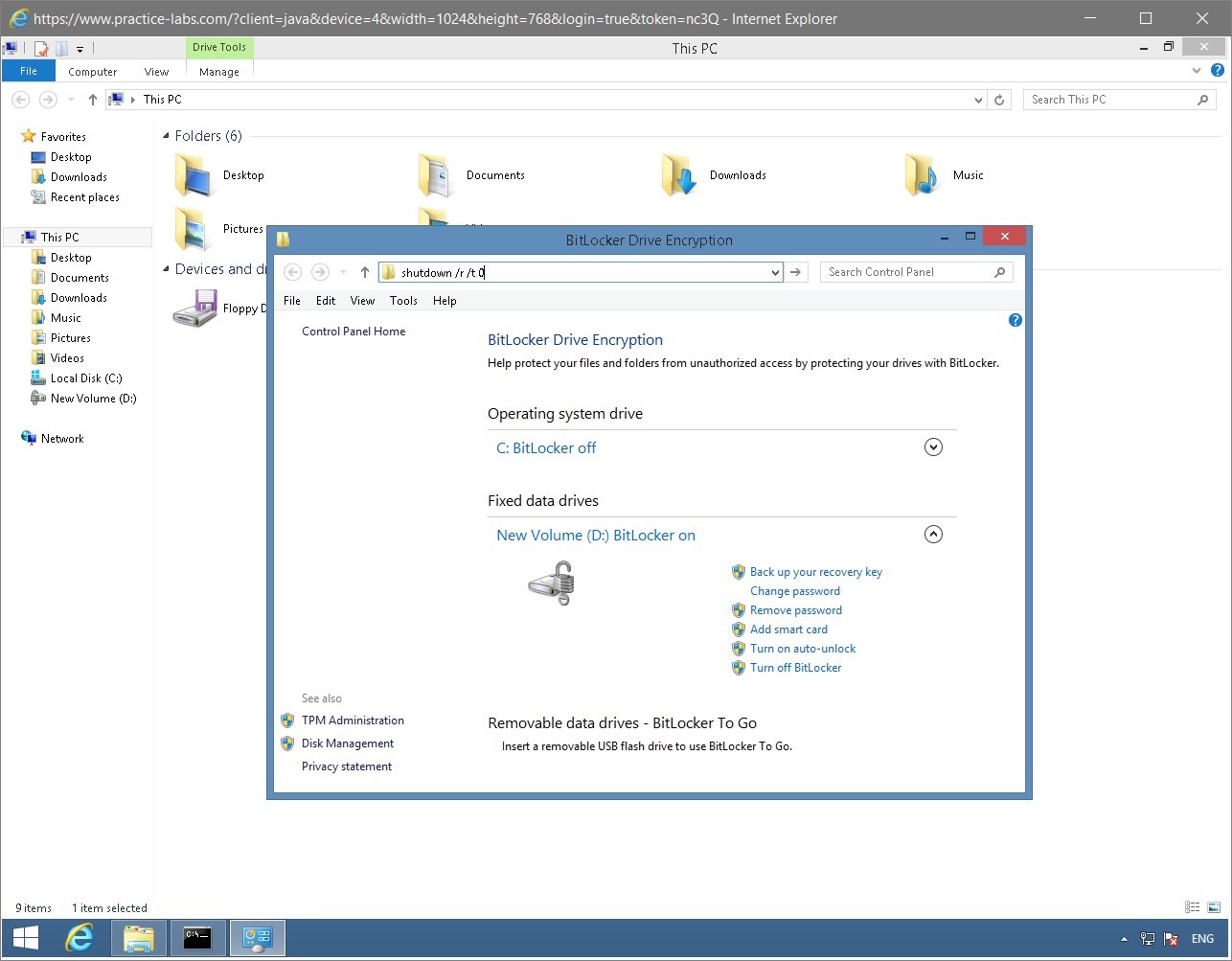 Figure 1.42 Screenshot of the PLABWIN810 desktop