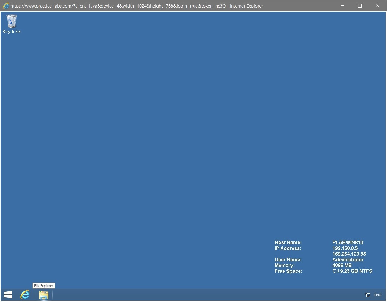 Figure 1.43 Screenshot of the PLABWIN810 desktop