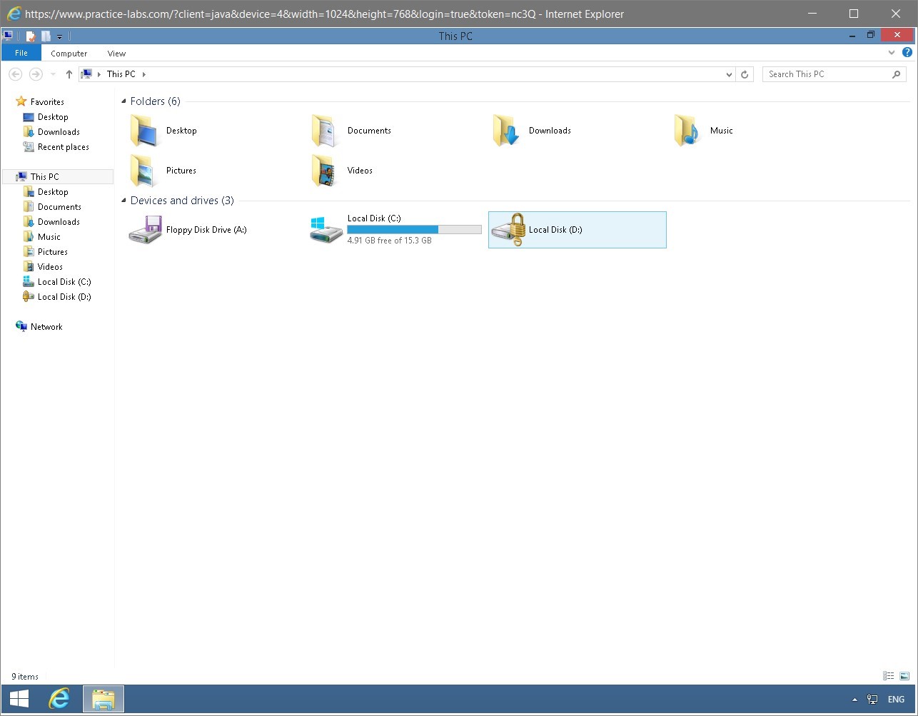 Figure 1.44 Screenshot of the PLABWIN810 desktop