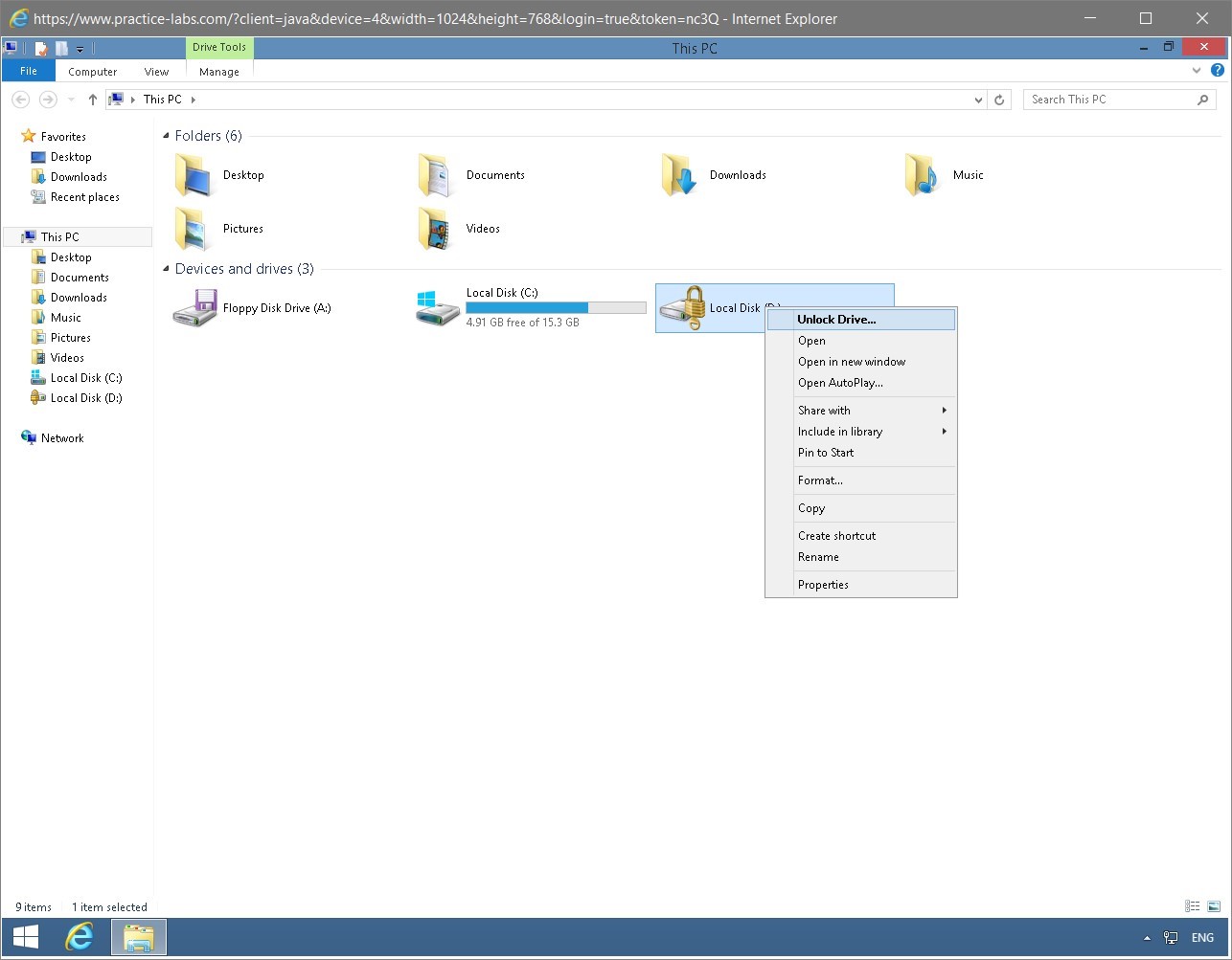 Figure 1.45 Screenshot of the PLABWIN810 desktop
