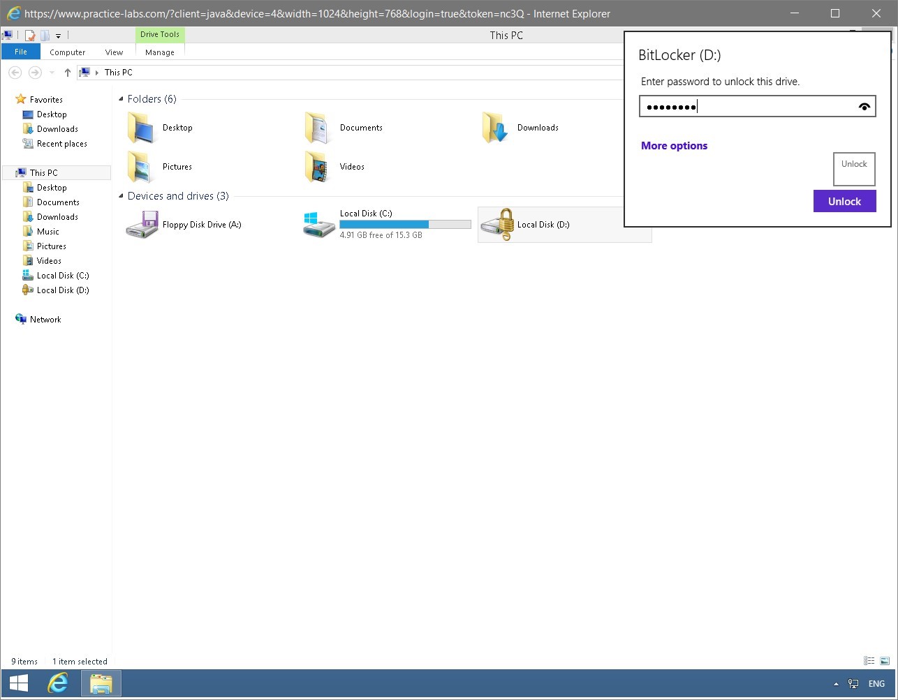 Figure 1.46 Screenshot of the PLABWIN810 desktop