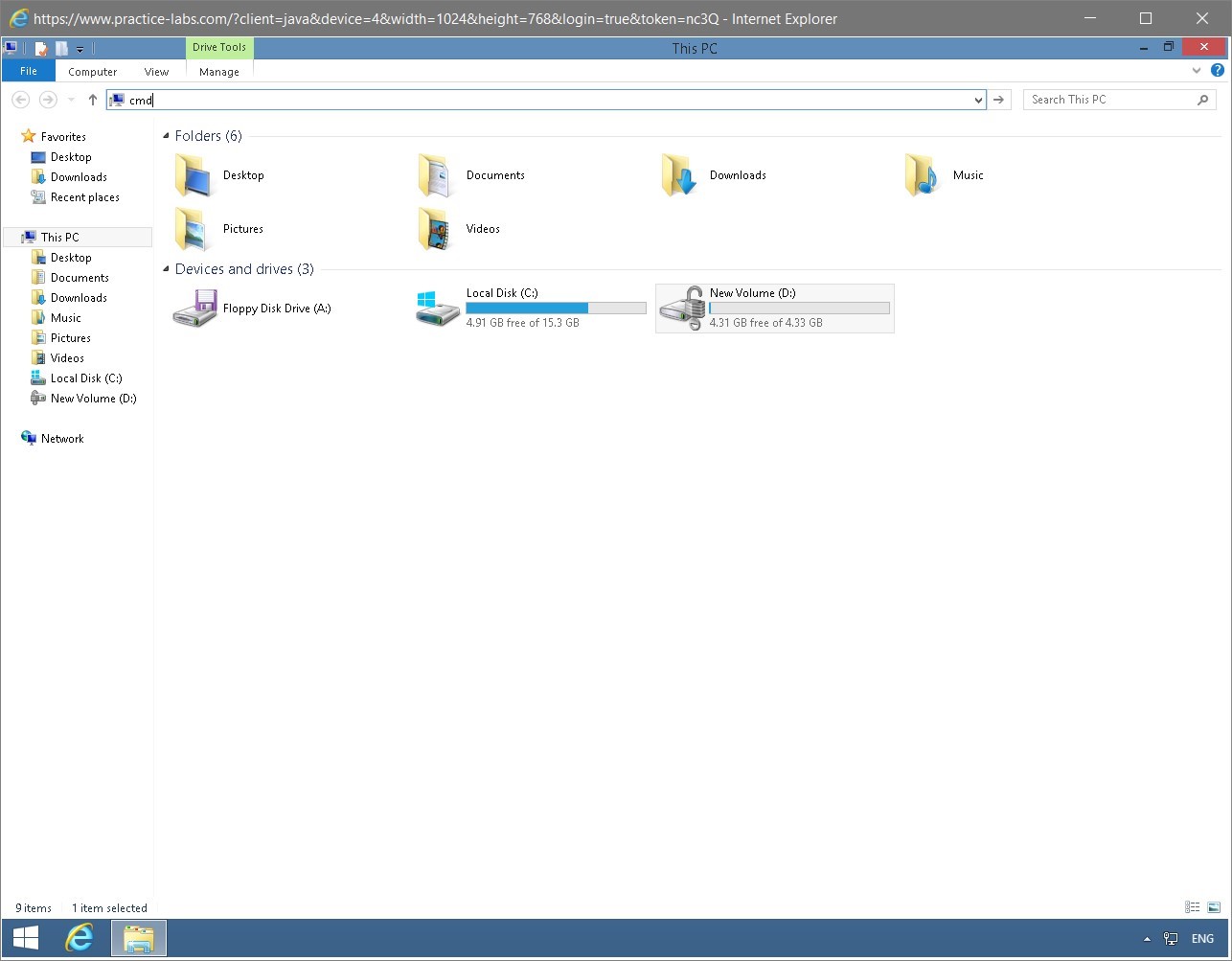 Figure 1.48 Screenshot of the PLABWIN810 desktop