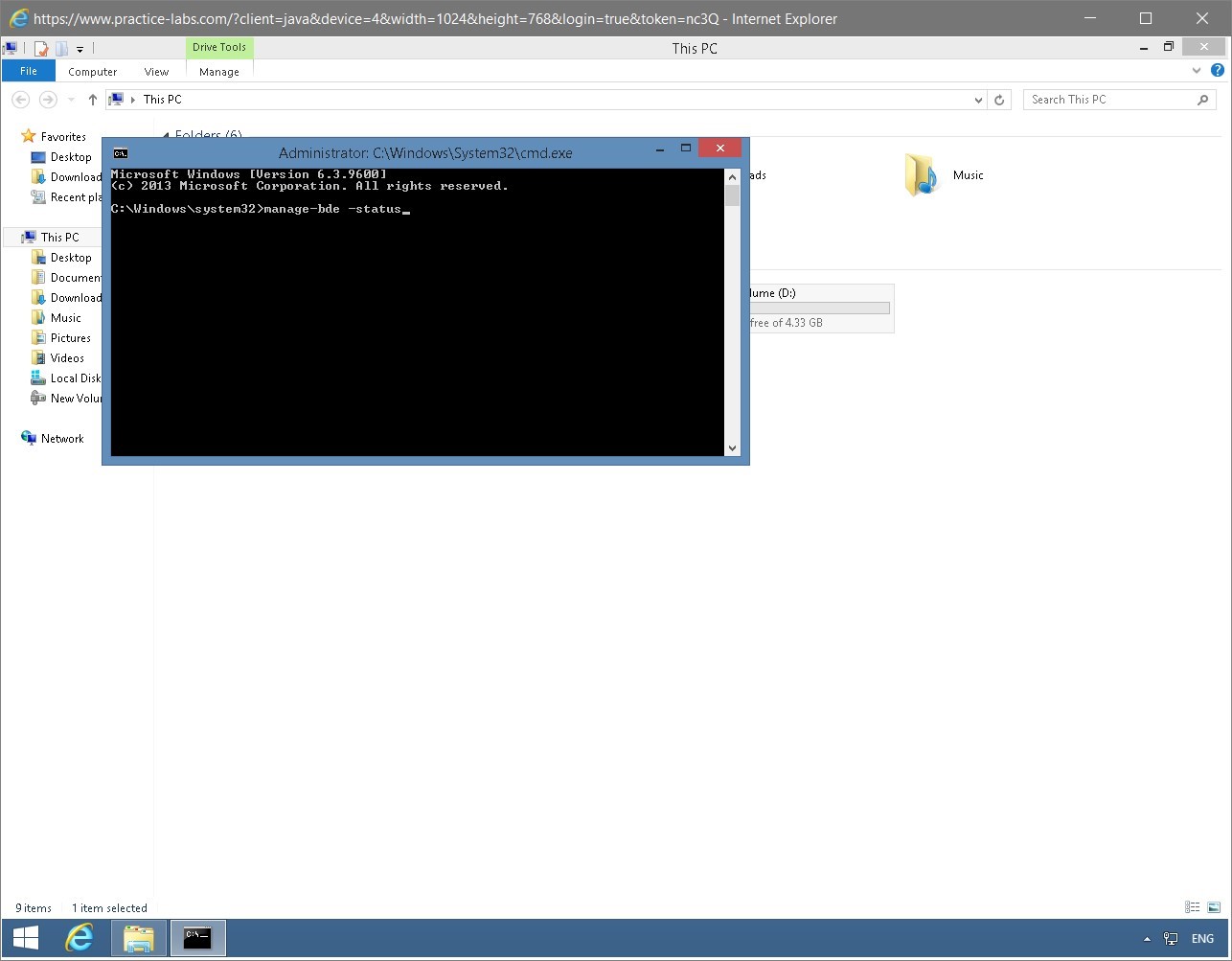 Figure 1.49 Screenshot of the PLABWIN810 desktop