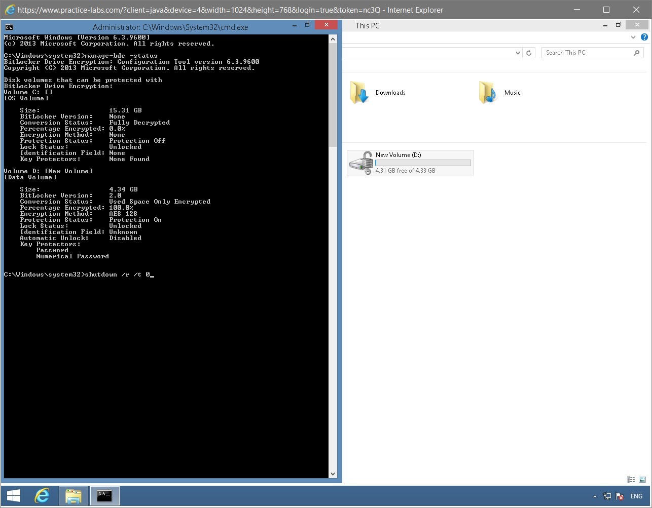 Figure 1.51 Screenshot of the PLABWIN810 desktop