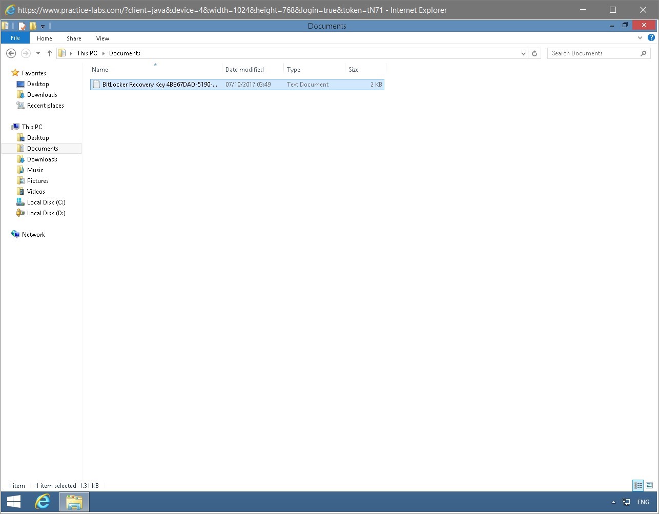 Figure 1.53 Screenshot of the PLABWIN810 desktop
