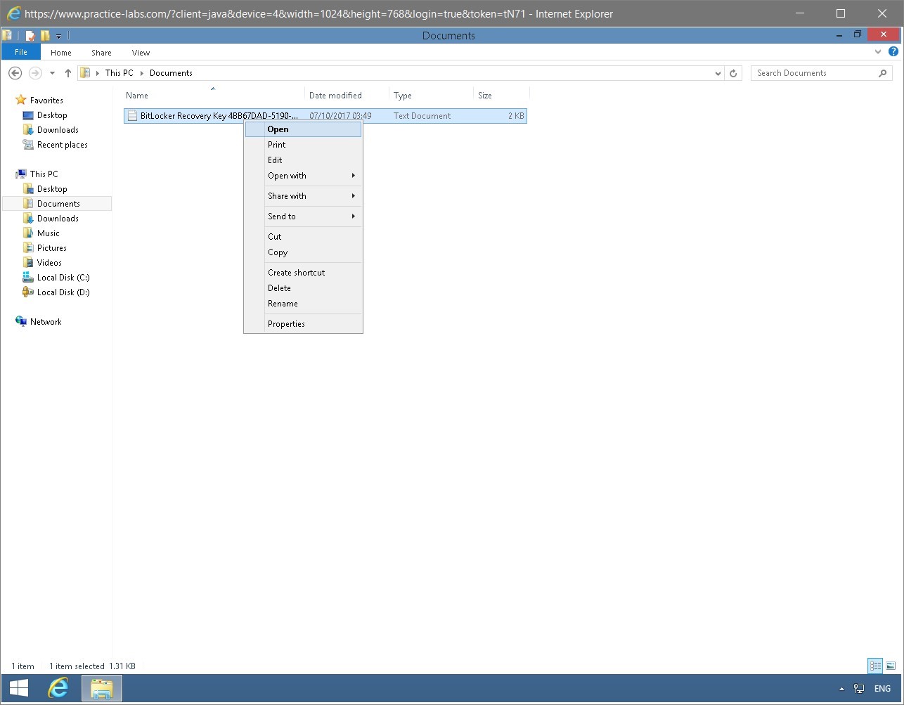 Figure 1.54 Screenshot of the PLABWIN810 desktop