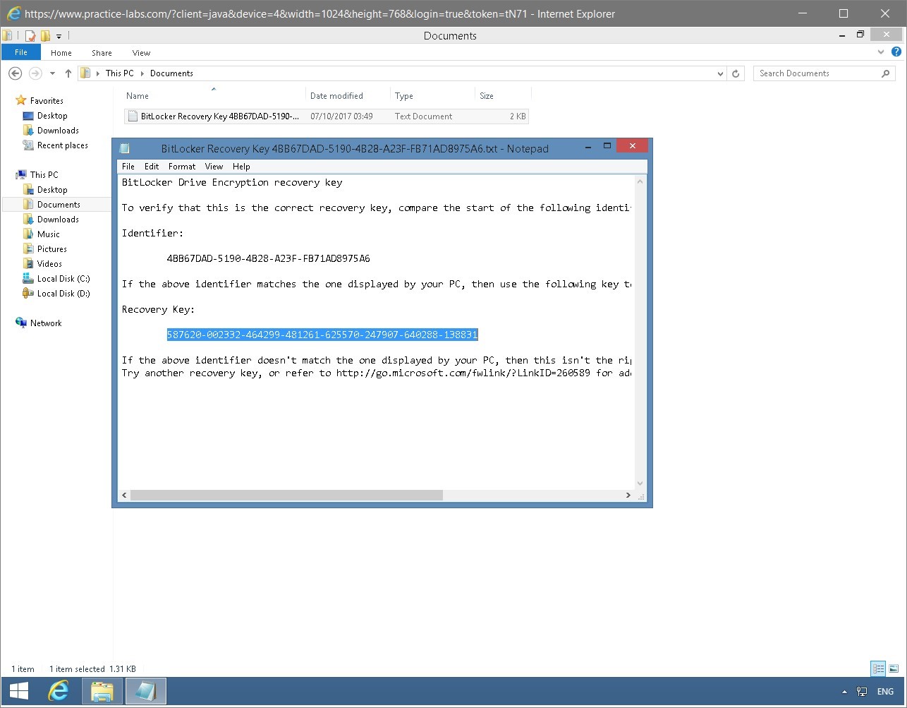 Figure 1.55 Screenshot of the PLABWIN810 desktop