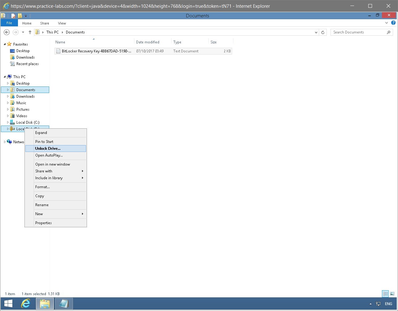 Figure 1.56 Screenshot of the PLABWIN810 desktop