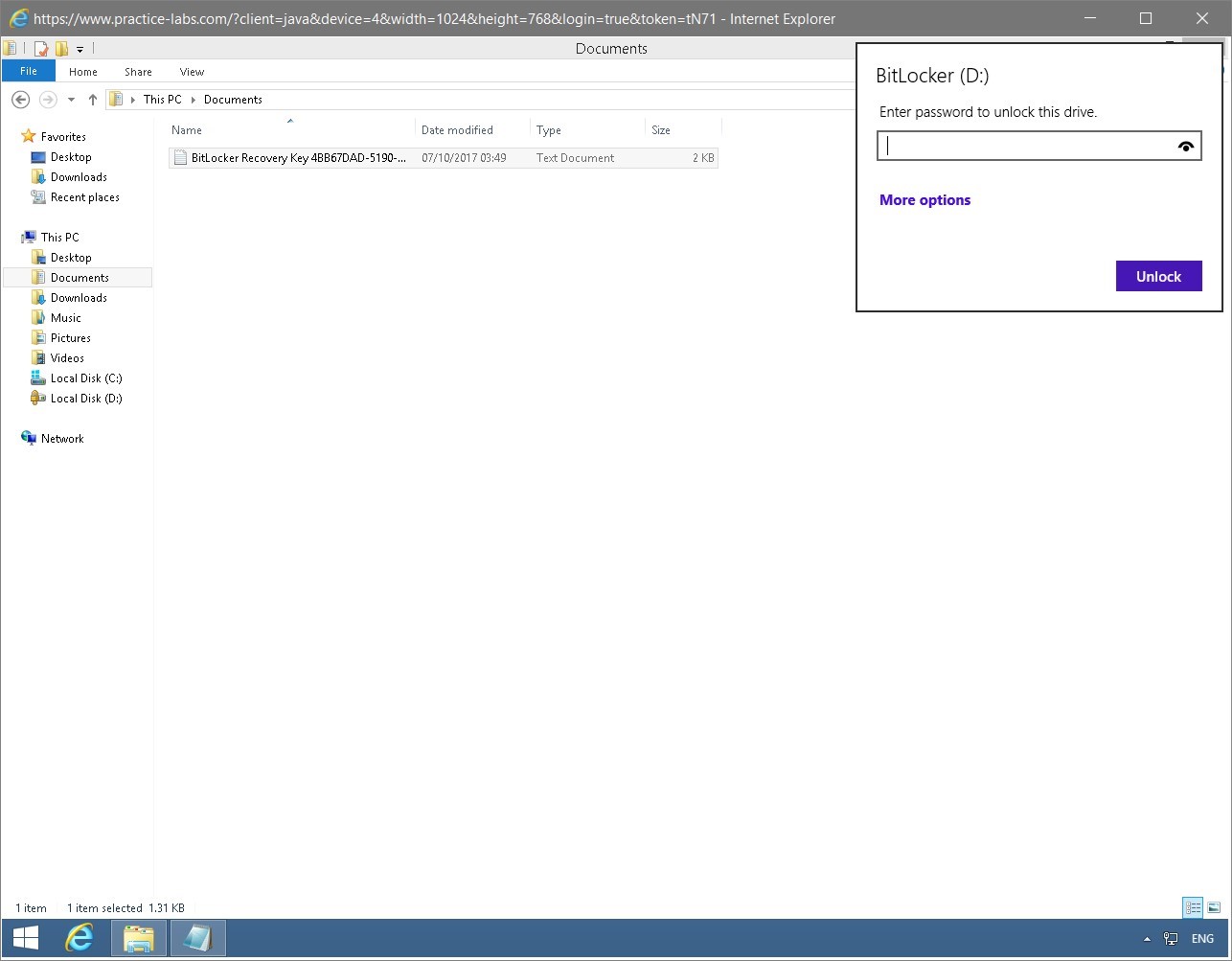 Figure 1.57 Screenshot of the PLABWIN810 desktop