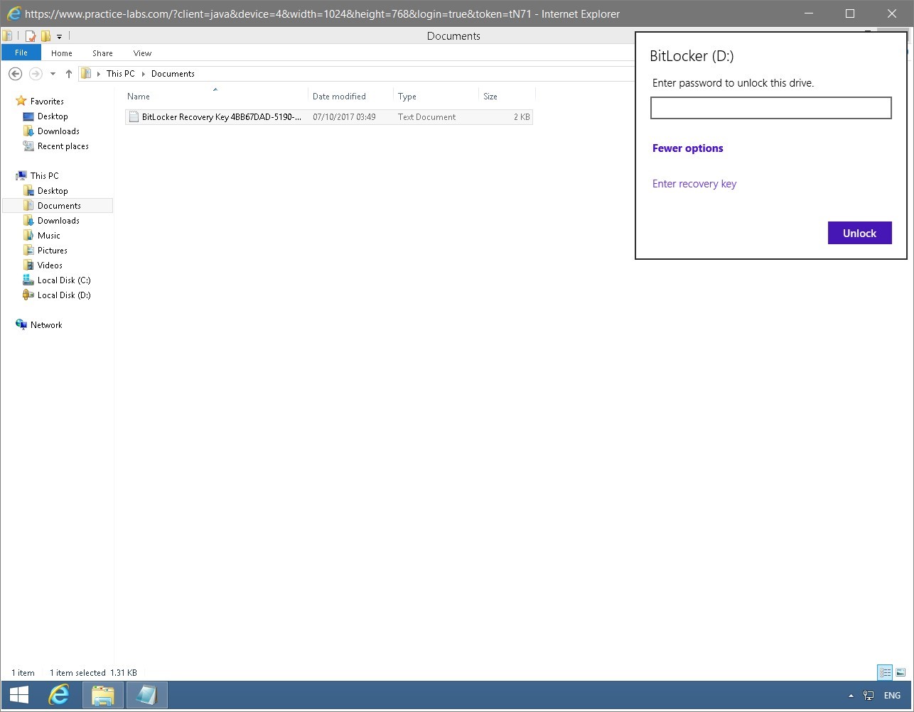 Figure 1.58 Screenshot of the PLABWIN810 desktop