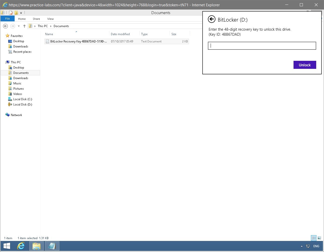 Figure 1.59 Screenshot of the PLABWIN810 desktop