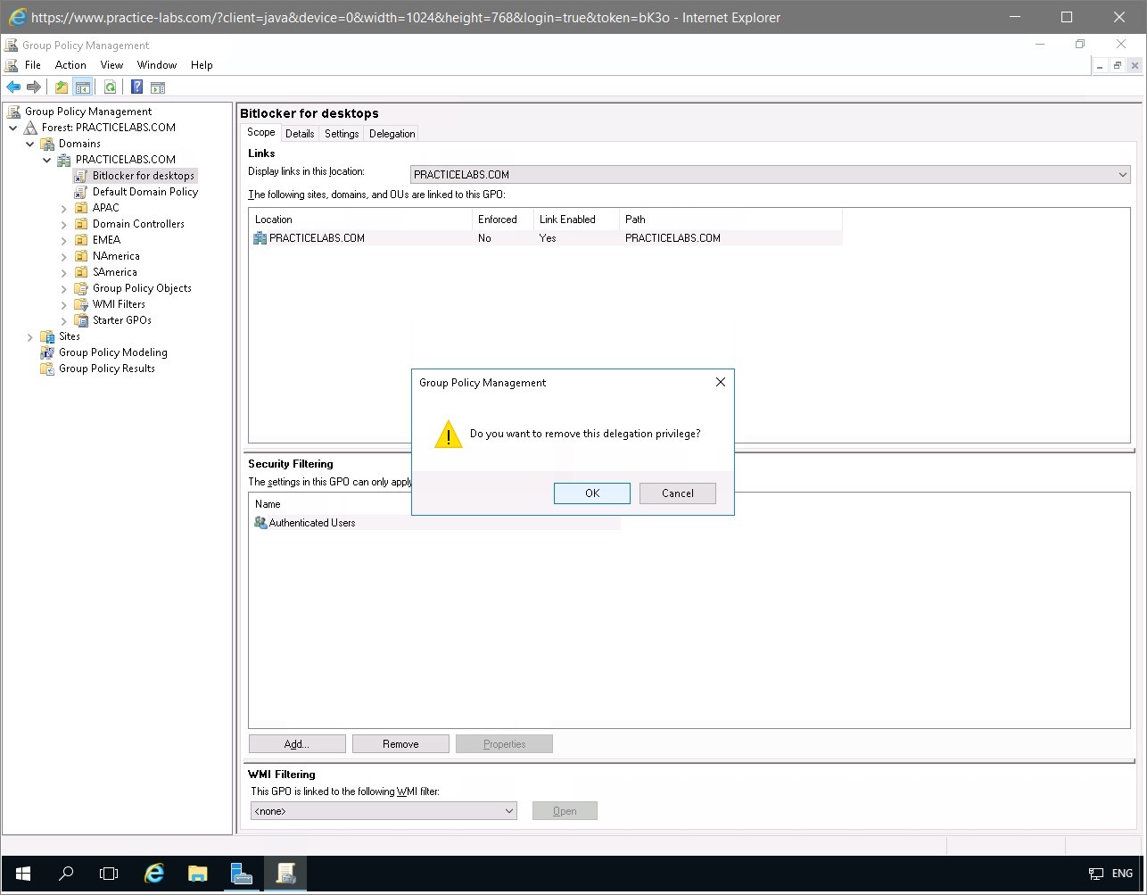 Figure 1.6 Screenshot of the PLABDC01 desktop